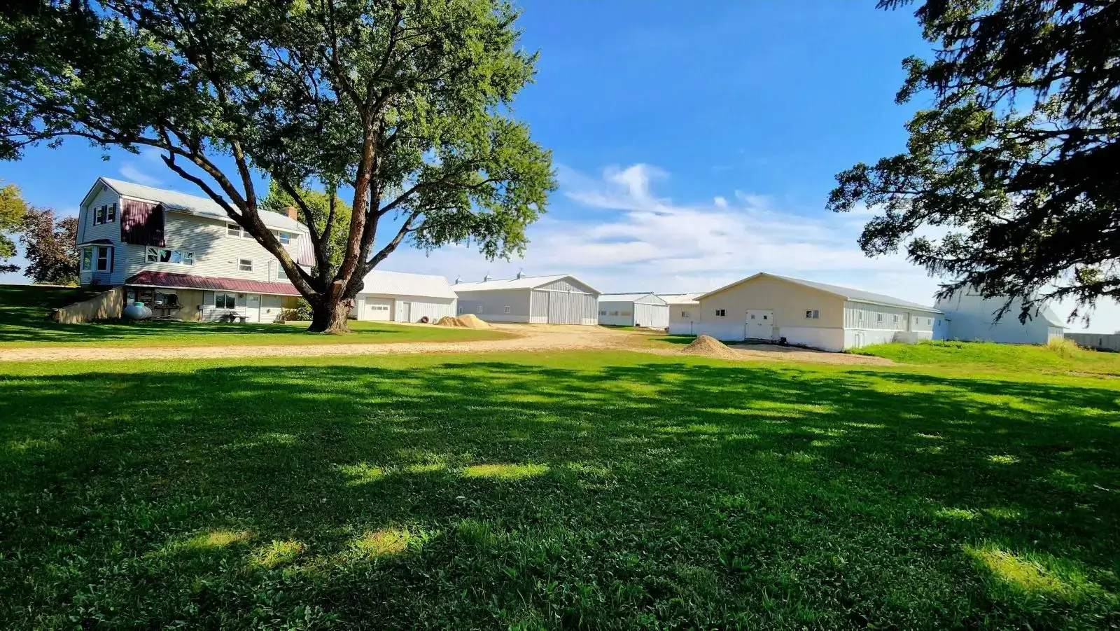 Farmhouse with lawn and multiple metal sheds